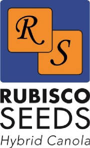 RubiscoSeedsvertlogoweb.jpg