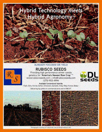 Planting Canola Seed ©Rubisco Seeds LLC